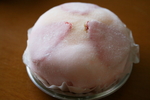 090408-rorie-05.jpg