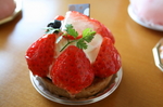090408-rorie-09.jpg