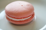 090408-rorie-12.jpg