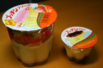 091220-prin-01.jpg