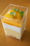 lorie-0907-mangococo.jpg